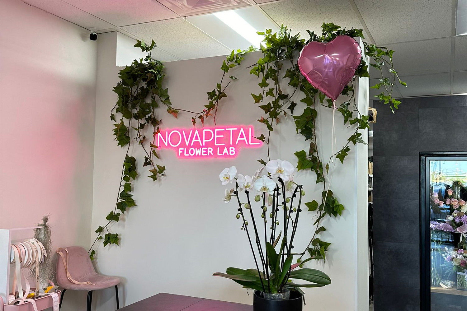 Grand Opening Celebration: Novapetal Flower Lab Arrives in Phoenix!