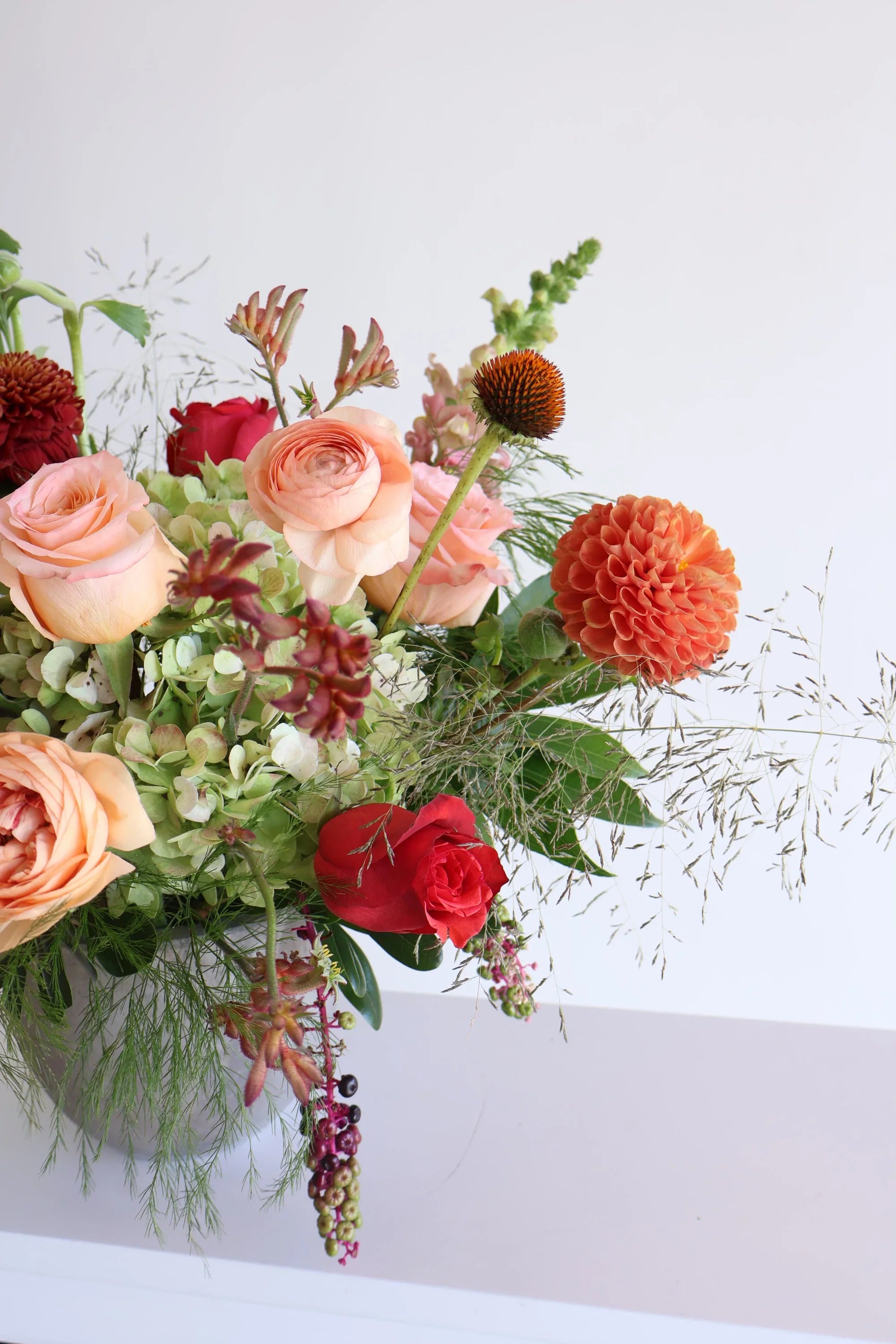 Novapetal seasonal collection