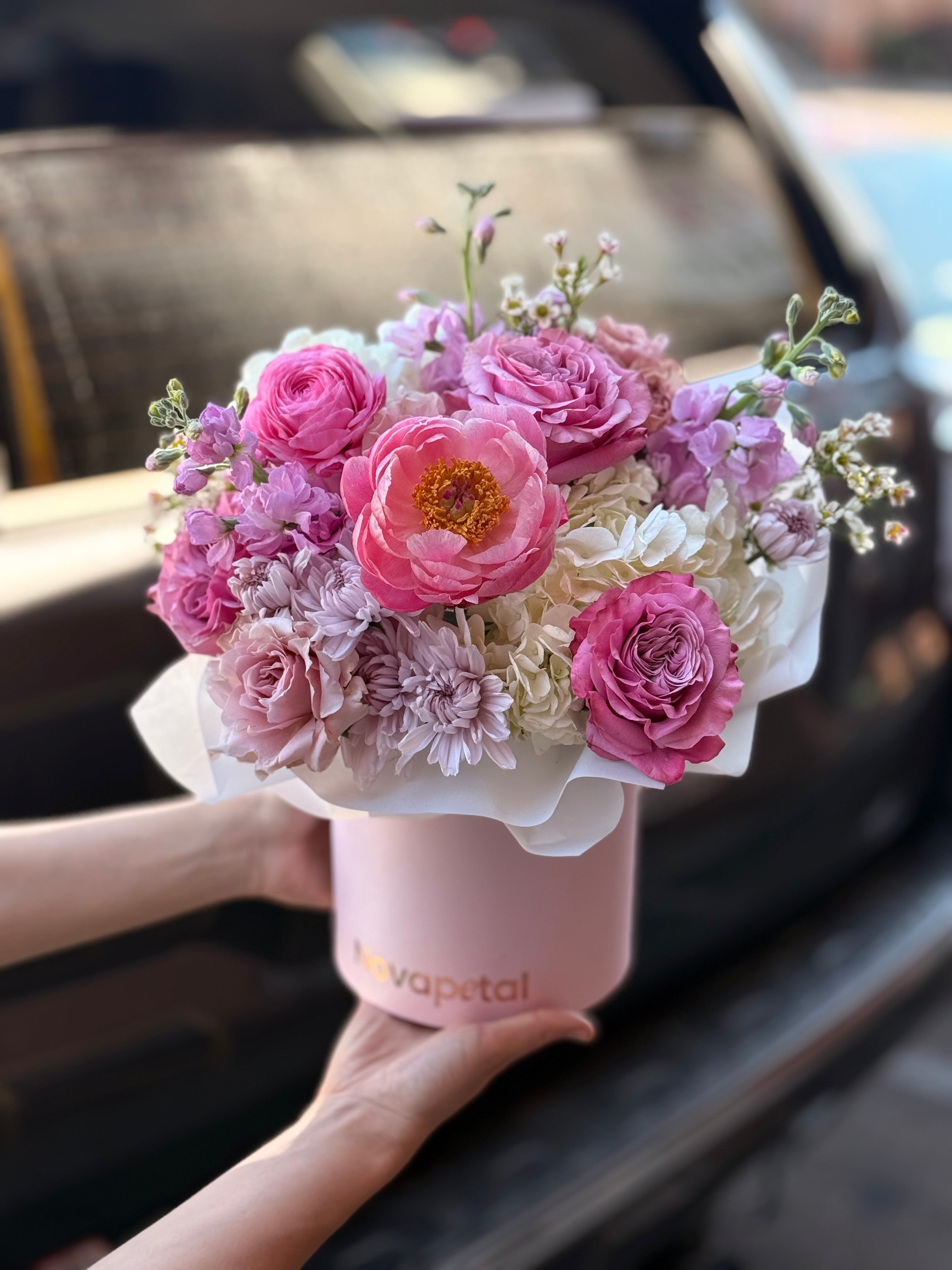 Lilu box arrangement