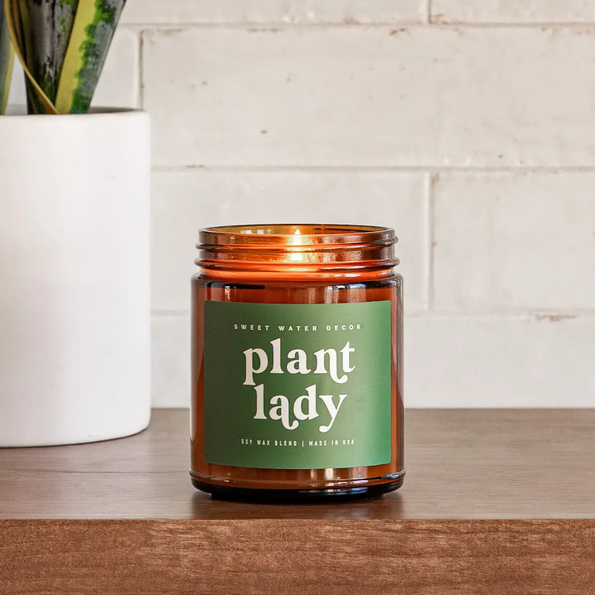 Plant Lady 9 oz Soy Candle - Home Decor