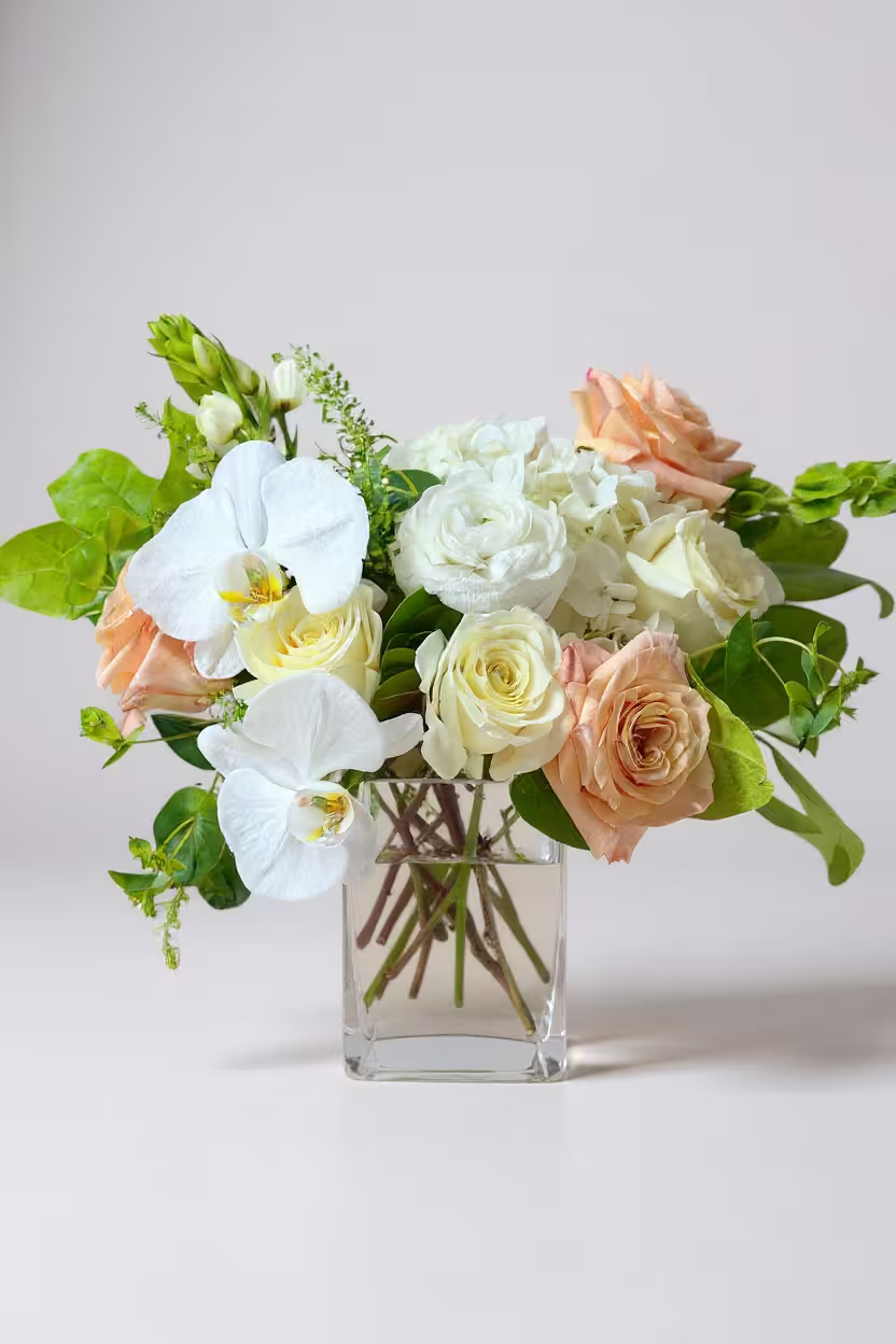 Orchid Signature Bloom