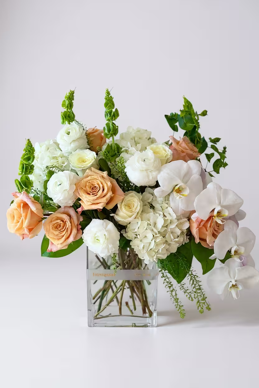 Orchid Signature Bloom