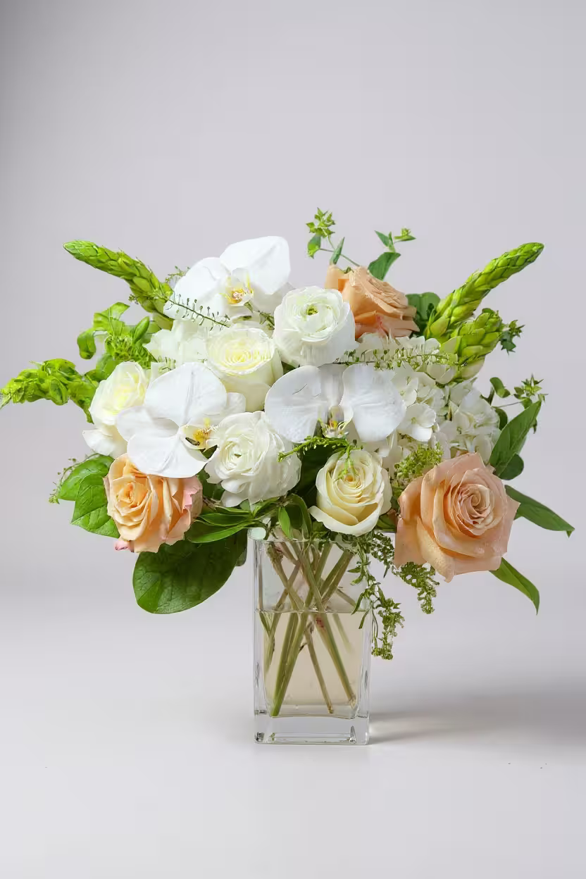 Orchid Signature Bloom