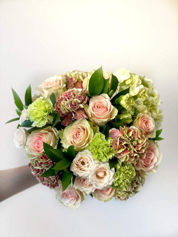 Succulents-Rose Valley-After Surgery,Appreciation,Aster,Blue Hydrangeas,Christmas,Desert Plant,Desk,Desk Buddy,Dry,Dyed Aster,Dyed Hydrangeas,Dyed Lilies,Easter,Easy Present,Ester,Family Present,Fourth of July,Get Well,Great Present,Green,Halloween,Hanukah,Happiness,Hydrangeas,Just Because,Less Water,Lilies,Loss,Love,Lust,Memorial Day,Pink Hydrangeas,Plant,Potted Plant,Present for Friend,Present for Work Friend,Sadness,Seasonal Basket,Seasonal Bouquet,Seasonal Box,succulent,Thanks Giving,Yellow Hydrangeas