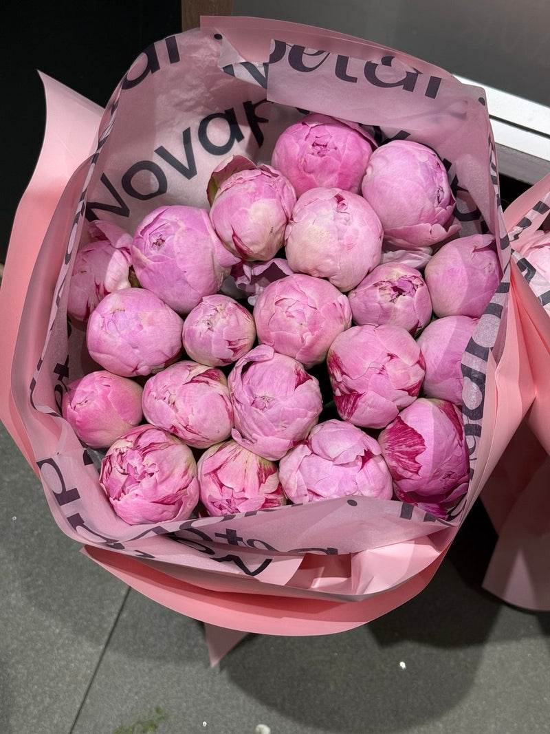 A hand-tied bouquet of pink peonies in Novapetal wrap