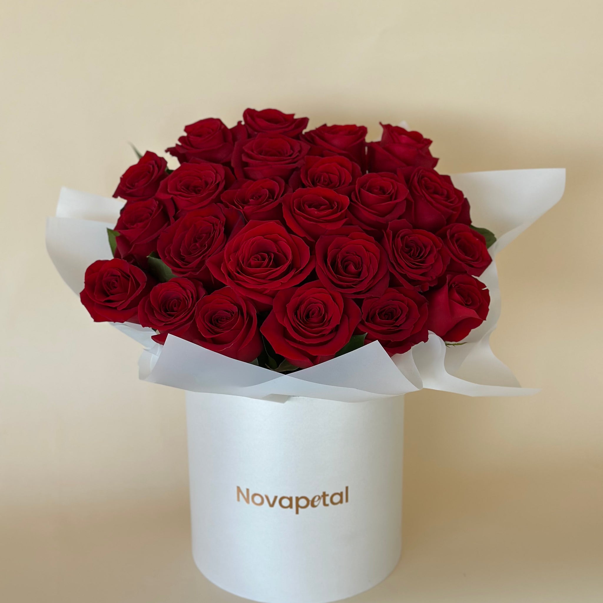 2 Dozen Premium Fresh Cut Red Roses In Box