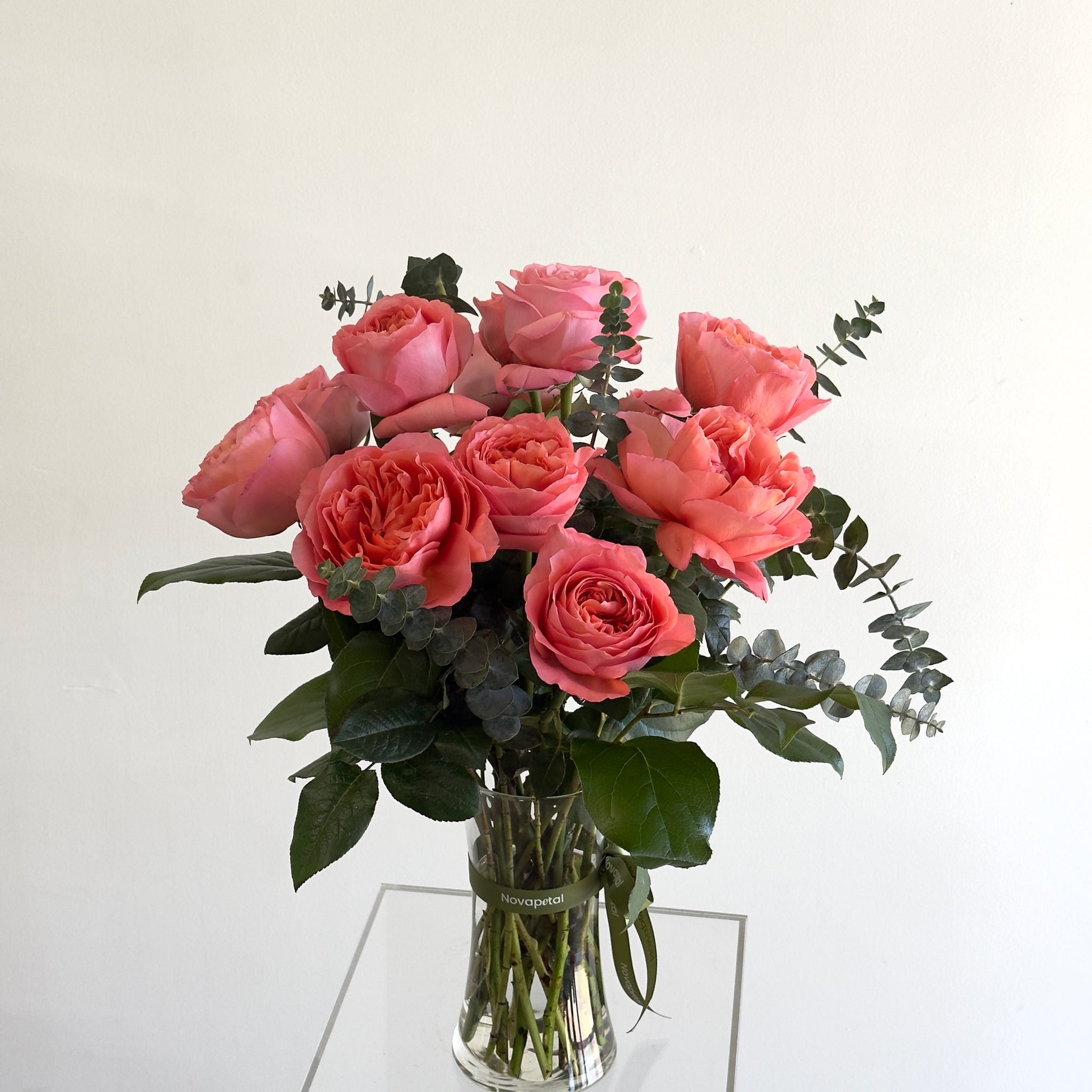 Candy Rose