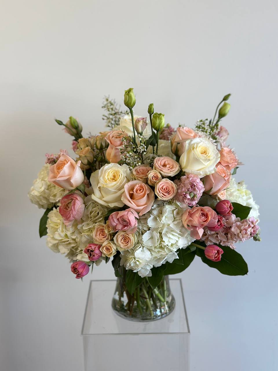 Ivory Blush