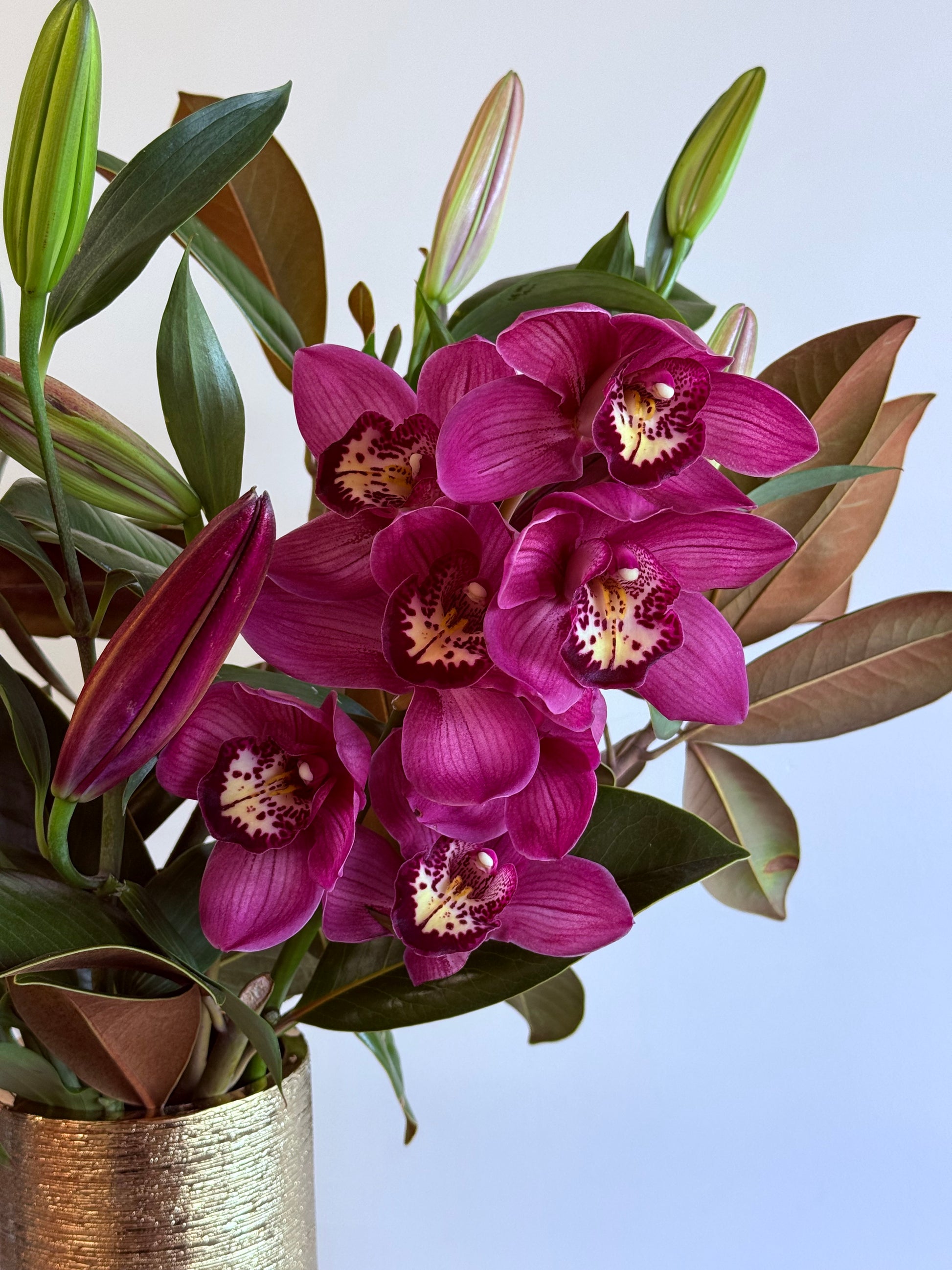 Orchid Noir Luxe