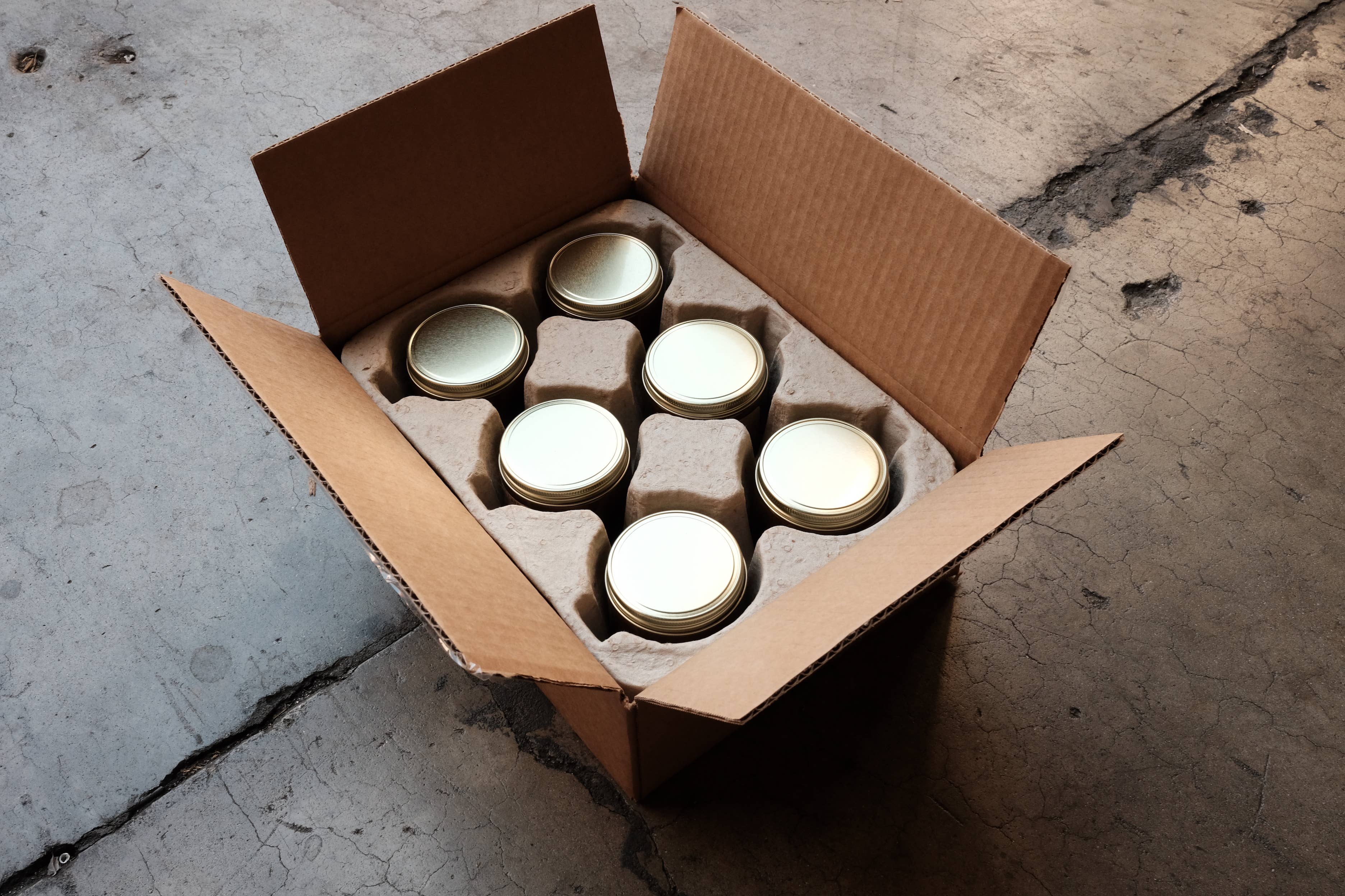Amber & Moss - 7.2 oz Standard Candle