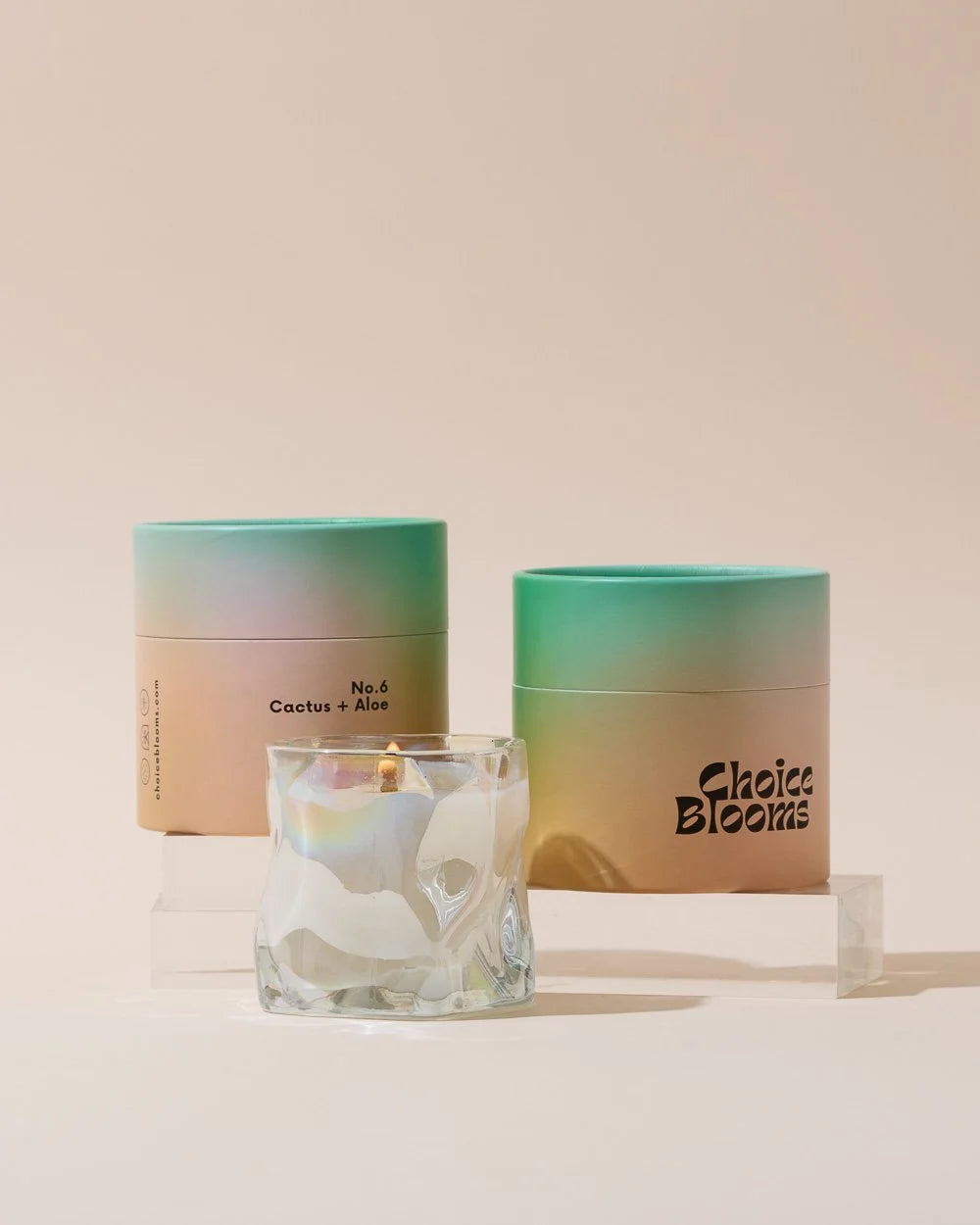 Cactus + Aloe Candle