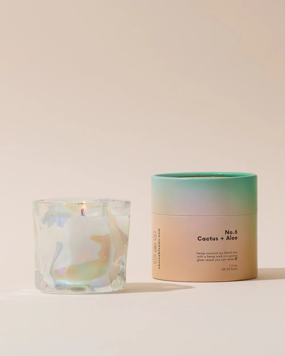 Cactus + Aloe Candle