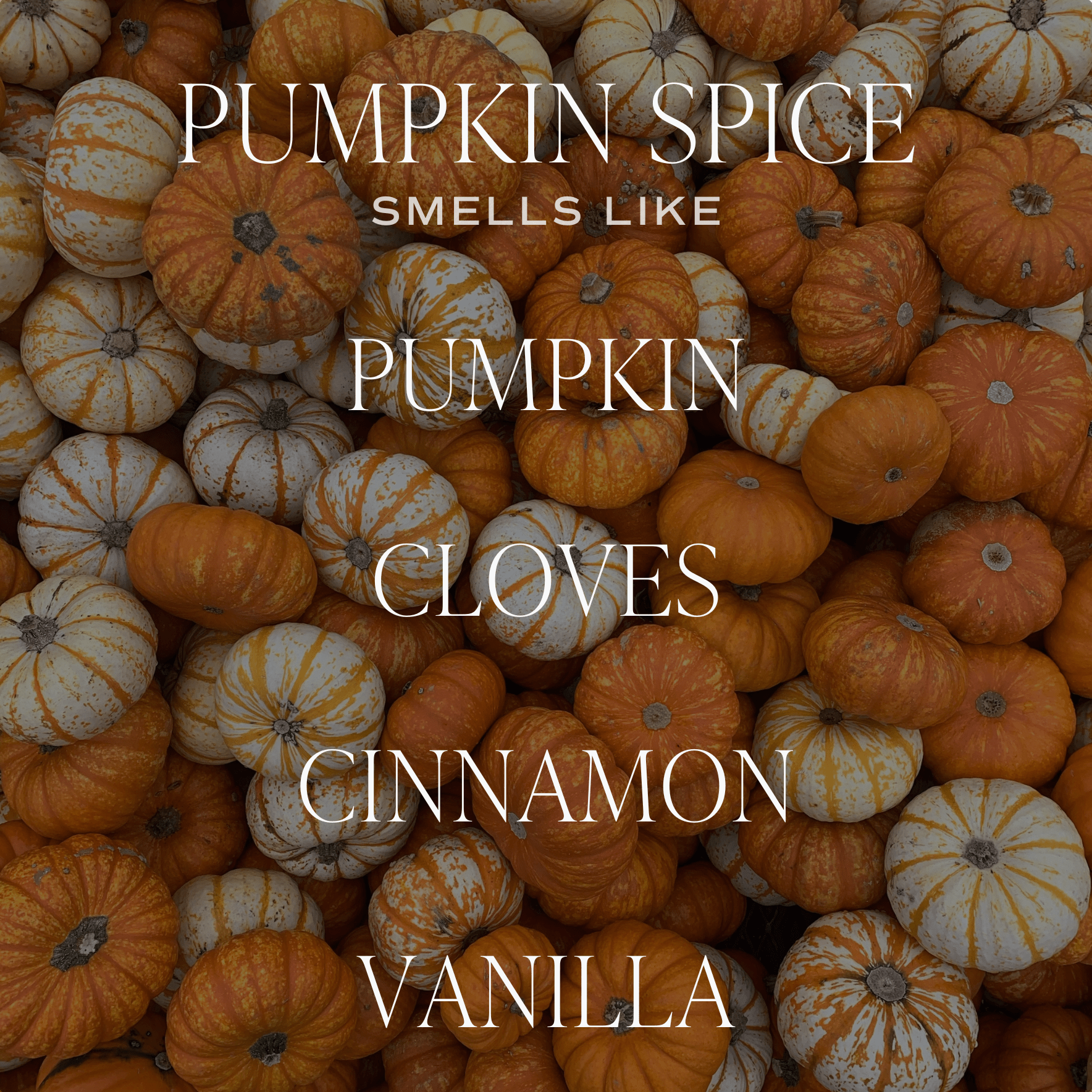 *NEW* Pumpkin Spice 9 oz Soy Candle - Fall Decor