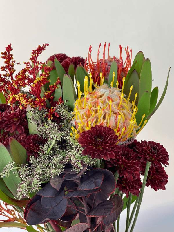 Cairo-Flower Lab-After Surgery,Anything you want,Appreciation,arizona,bouquet,Desert Plant,Desk,Desk Buddy,easy,Elegant,Get Well,Gift,Glass,Great Present,Great Present for Holidays,Halloween,Hanukah,Happiness,happy birthday,Hope,Love,Lust,Mainly Purple,Peace,phoenix,Phoenix Flower Delivery,Plant,Small Bouquet,summer,Thanks Giving,Vase,Work present