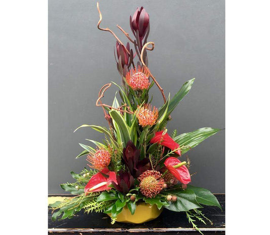 Tropical-Flower Lab-Anything you want,Appreciation,Condolences,Funeral,Funeral Arrangement,Get Well,Great Present,Hope,Just Because,Loss,Love,Sadness,Sympathy