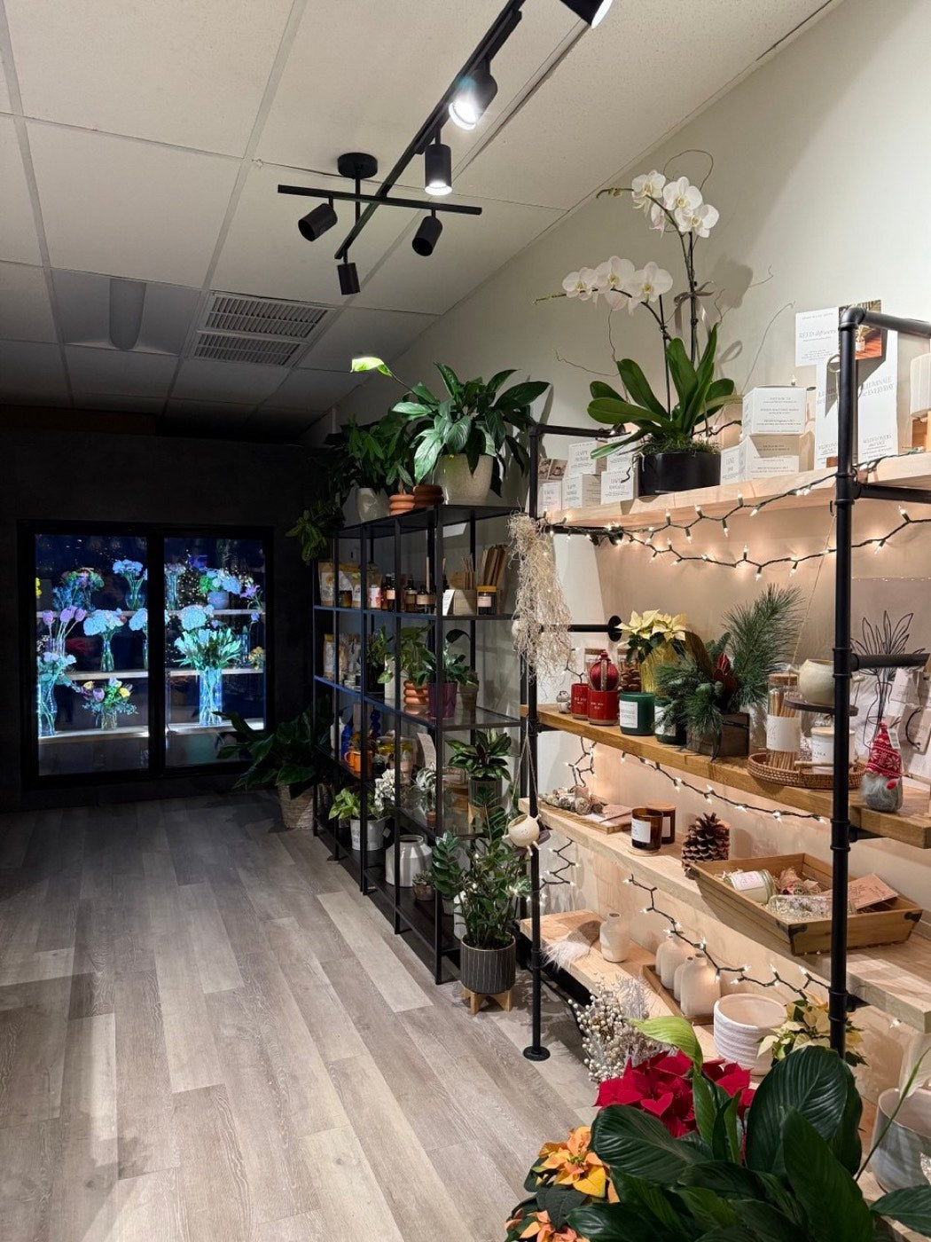 Inside the Novapetal studio in Arcadia, Phoenix, with the flower cooler, plants and shelves of candles, vases and gifts