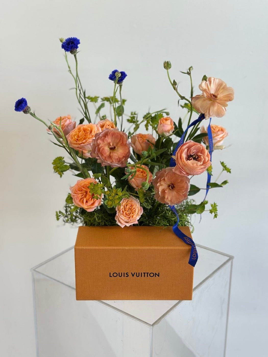 Peach garden roses, ranunculus and blue cornflower planted into a Louis Vuitton gift box by Novapetal Flower Lab, tied with a blue ribbon on a clear plinth