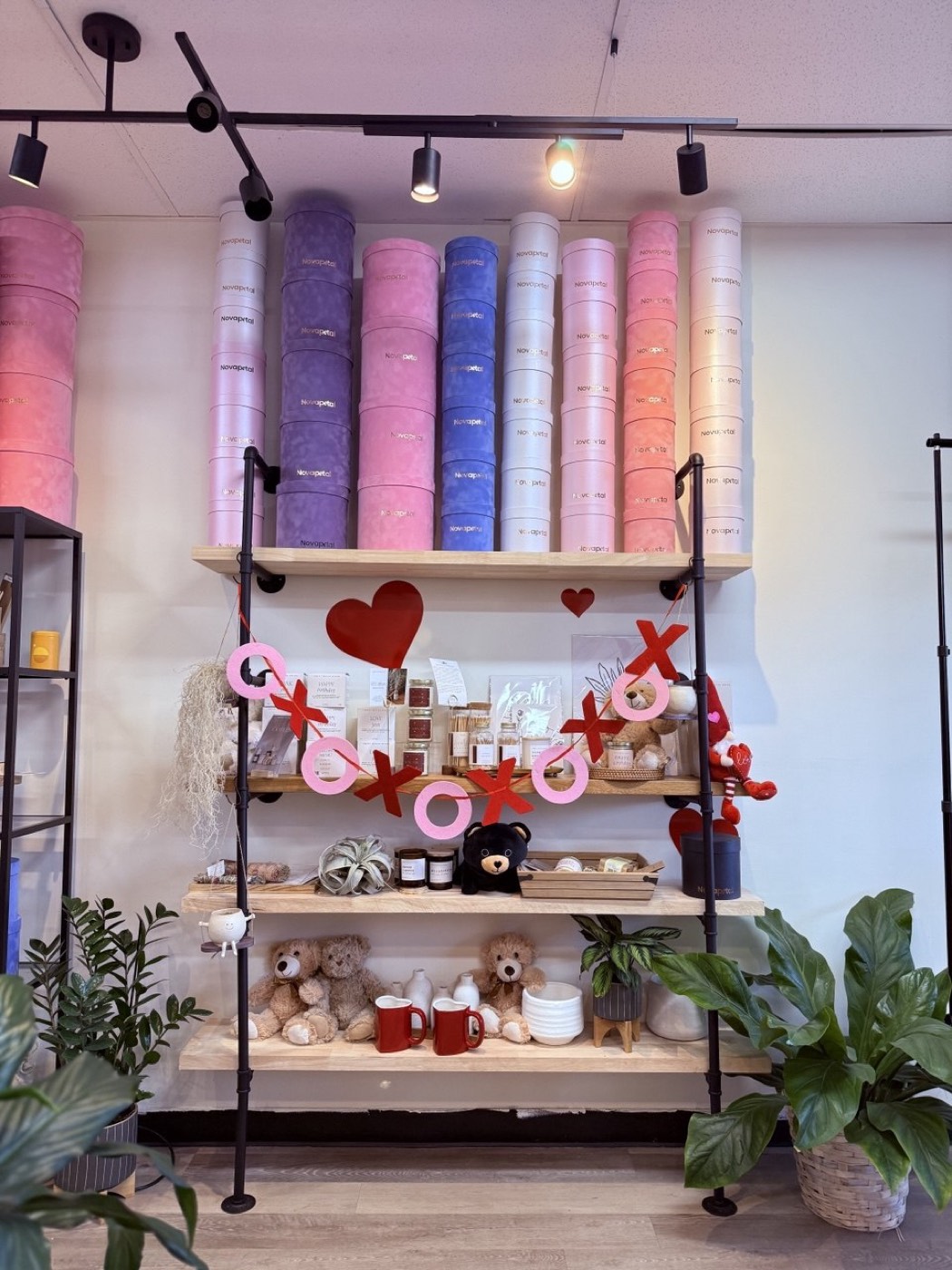 Shelves of signature Novapetal hat boxes in pink, lilac, blue and blush inside the Phoenix studio